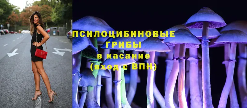 Галлюциногенные грибы Magic Shrooms  купить наркотики сайты  Кущёвская 